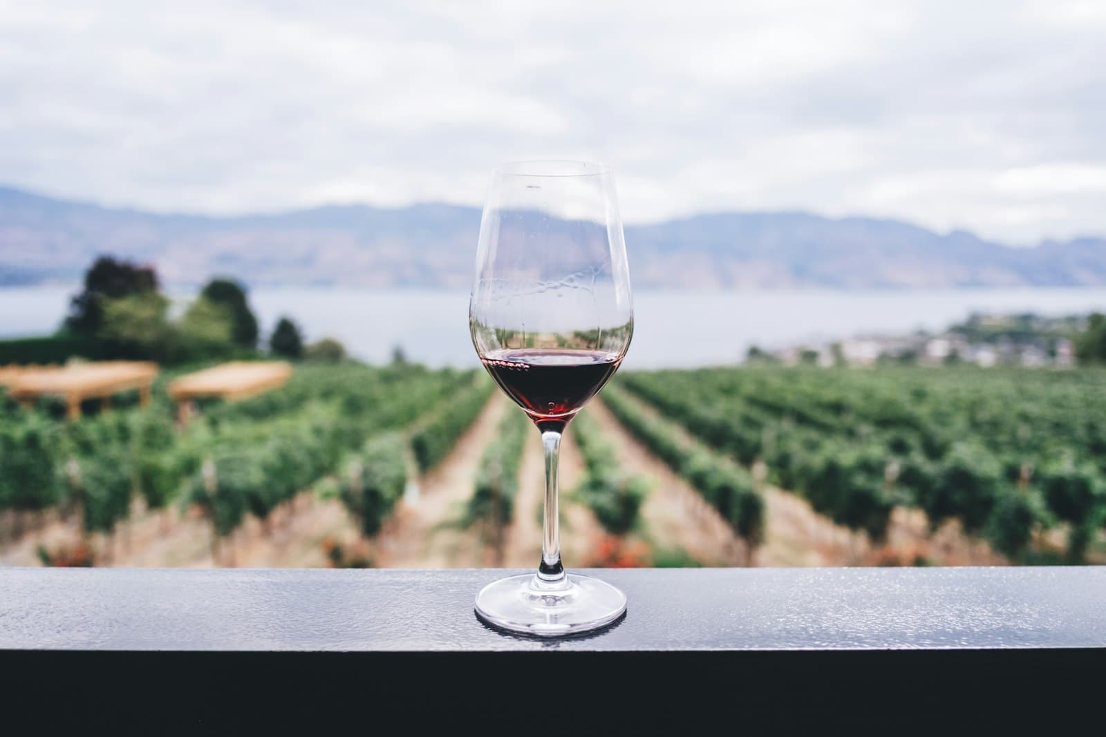 Stellenbosch & Franschhoek Connoisseur Wine Tour